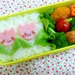 簡単キャラ弁☆チューリップのお弁当♪